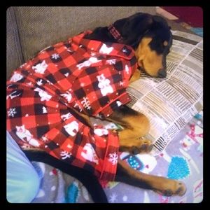 Meet your Posher, Cassie